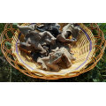 Dried White Back Black Fungus and Dried Woodear